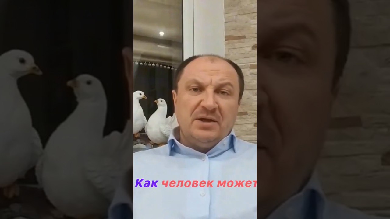 Превью: Как узнать, что ты Божество, и не возгордиться?